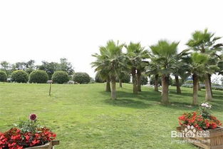 成都園林綠化養護修剪施工方案及操作規范